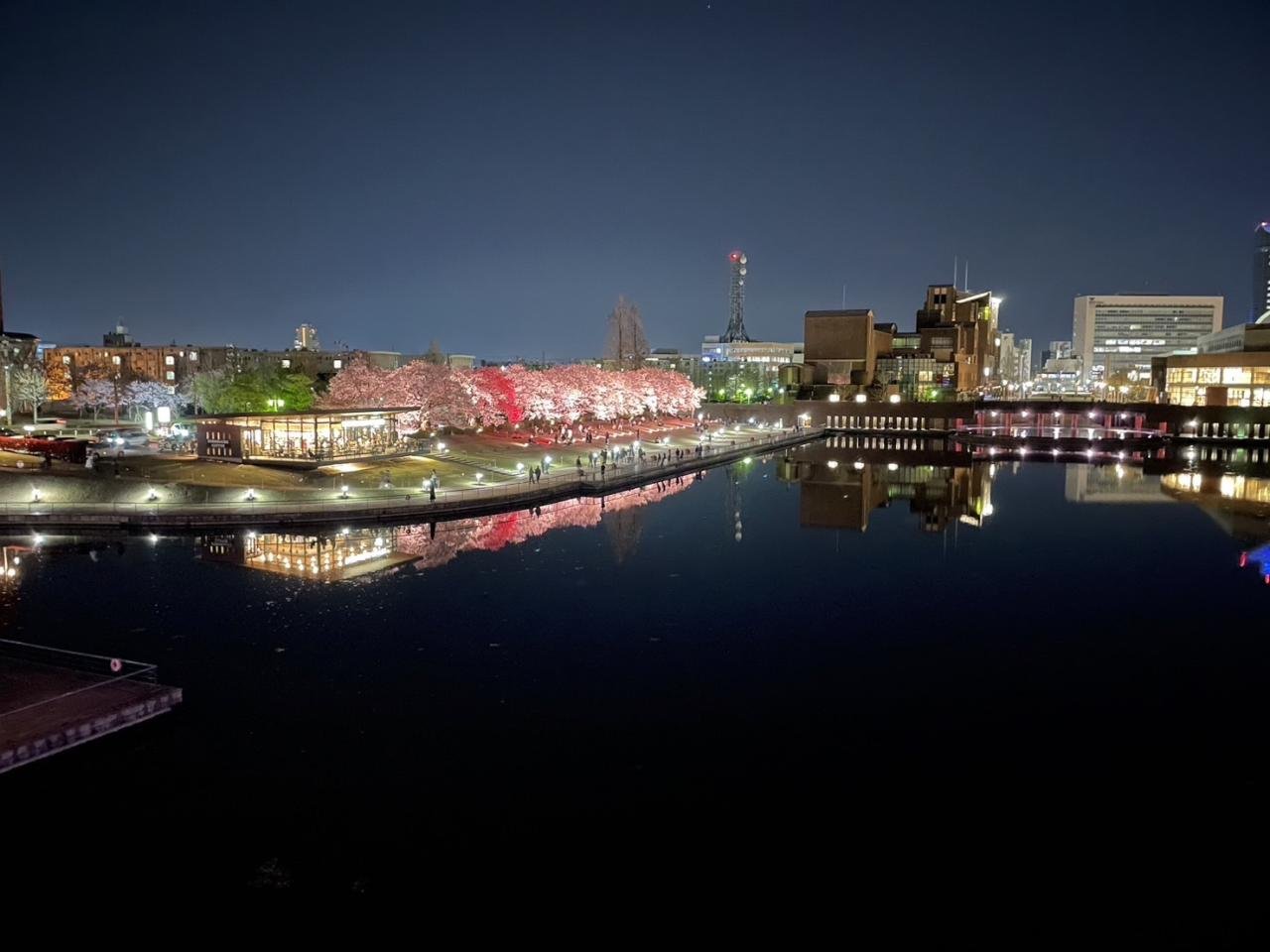 環水公園　夜景