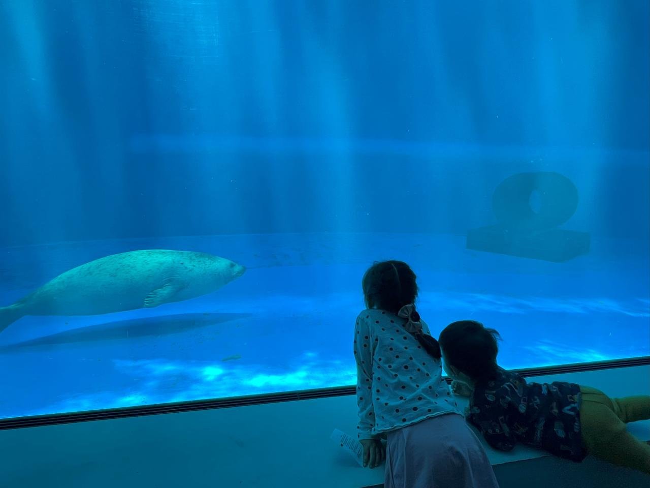 水族館　おすすめ